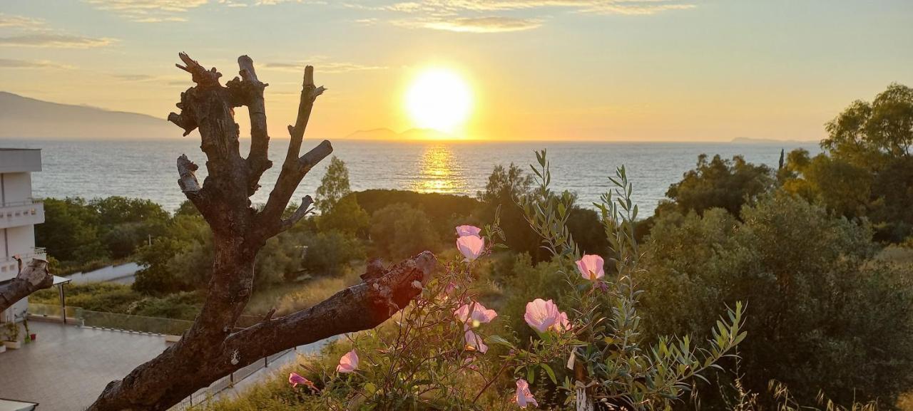 Views Of Vlore - Lunarossa Εξωτερικό φωτογραφία